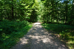 DSC04421