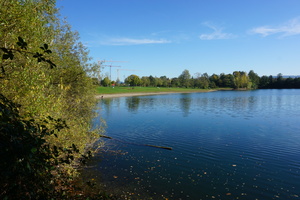 DSC07208