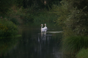 IMGP1767