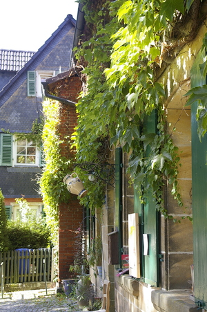 Bilder 009