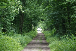 DSC08785