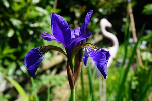 DSC06562